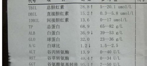 肾病一二三四期一览表：肾病一二三四期全解析，分期标准、症状与治疗原则一览表