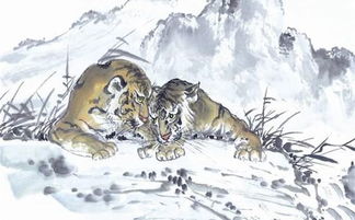 1998年的虎今年运气怎么样：1998虎年2023年运势全解析，机遇与挑战并存