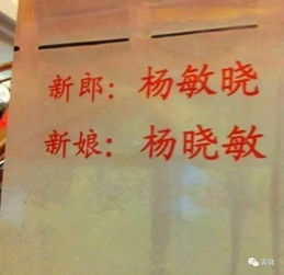 姓名测试婚姻 免费：姓名测试婚姻 免费在线工具，科学解读姓名能量与情感匹配指南