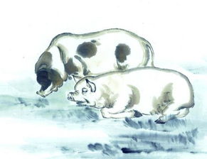 属虎与属猪的姻缘咋样：虎猪配，传统命理与现代视角的双重解读