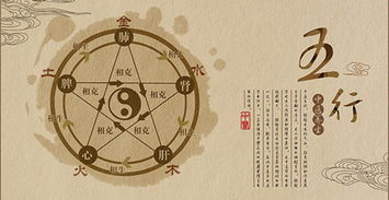 梅花易数算命：梅花易数，千年玄学智慧与现代人生的奇妙对话