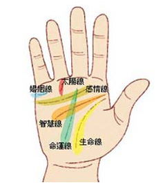 扫一扫识别手相图解：手机扫码秒测手相，AI技术让传统命理焕发新生