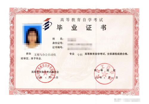 初中生怎么自考大专（初中生自考大专流程）