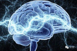 锻炼大脑7种方法：7种科学方法，重塑你的大脑，提升认知与活力