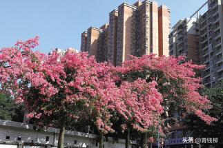 广州大学属于什么档次（广州什么大学）