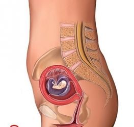 怀孕图片1到10月胎儿图：怀孕1-10月胎儿发育全图解，从受精卵到新生儿的奇妙旅程
