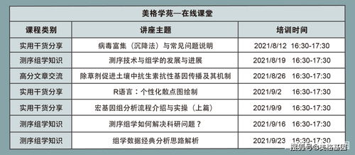 公司起名1518测试打分：1518测试法，科学评估公司名称的黄金法则—从发音到法律风险全解析