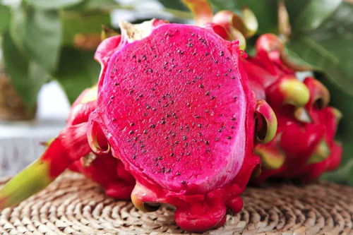 孕妇能不能吃火龙果：孕妇能不能吃火龙果？全面解析与注意事项