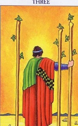 塔罗牌的正缘长相怎么看：塔罗牌揭示正缘长相，神秘占卜与现实的完美结合