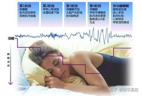 孕妇梦见被追杀是生男生女：孕妇梦见被追杀，传统说法与科学解读