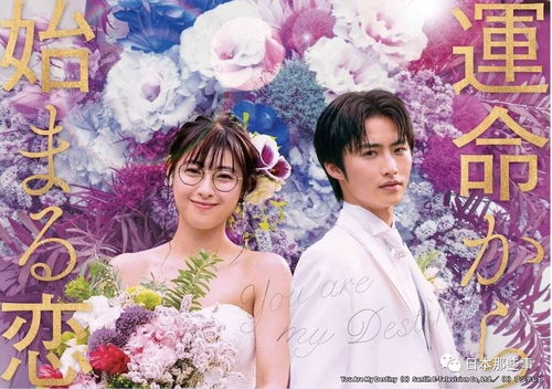 姻缘在线观看泰国电视剧：浪漫邂逅，命中注定！姻缘在线观看泰国爱情剧，感受泰式爱情魅力