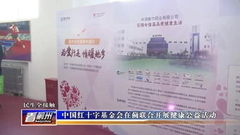 药品信息网：药品信息网，你的健康守护者