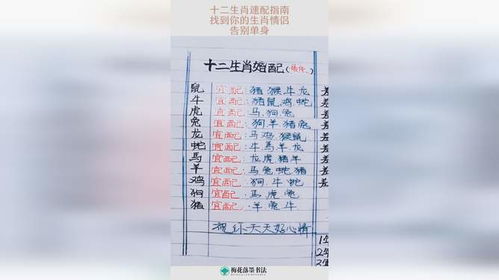 夫妻属相配对大全最准确：夫妻属相配对大全最准确指南，十二生肖相生相克解析与幸福婚姻建议