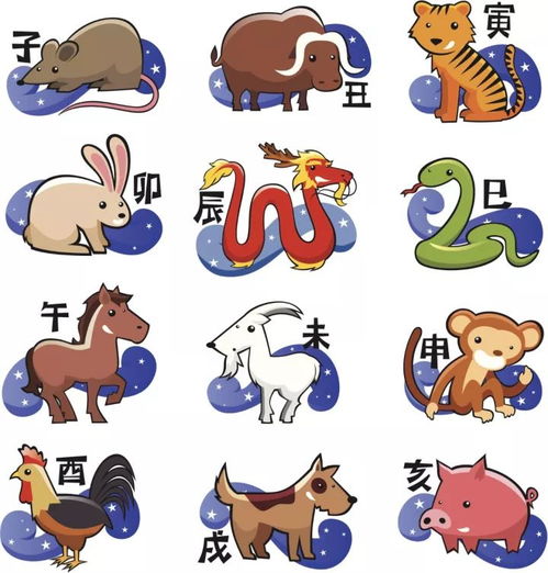 夫妻属相配对大全最准确：夫妻属相配对大全最准确指南，十二生肖相生相克解析与幸福婚姻建议