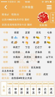 八字算正缘免费：八字算正缘免费指南，科学解读命理中的缘分密码