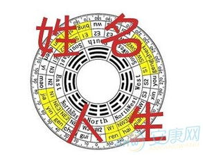 预测名字吉凶：姓名学视角下的名字吉凶解析，传统玄学与科学姓名学如何共同影响命运？