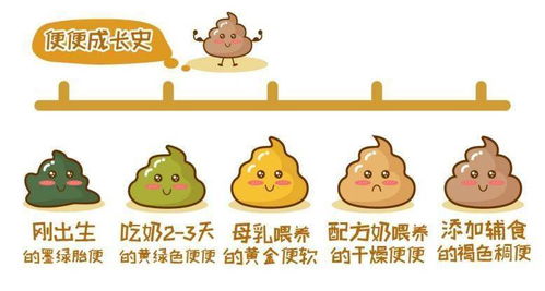 宝宝大便颜色对照表:宝宝便便颜色对照表,新手爸妈必备的育儿指南