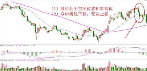 医疗股票有哪些龙头股：医疗股票龙头股分析，细分领域龙头一览，把握行业投资机会