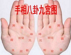 断掌九种富贵手相图解：断掌九种富贵手相图解，揭秘手掌纹路中的财富密码与人生运势
