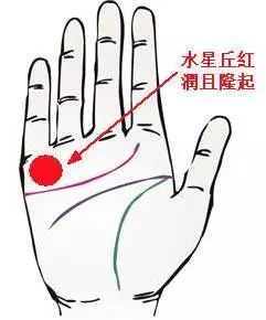 断掌九种富贵手相图解:断掌九种富贵手相图解,揭秘手掌纹路中的财富密码与人生运势