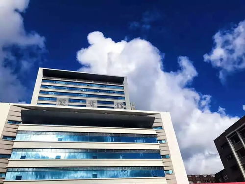 青岛理工大学研究生院（青岛理工大学研究生院在哪个校区）