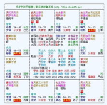 紫薇命盘免费解析：免费紫微命盘解析，解锁你的命理密码，定制专属人生指南