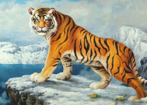 属虎2024年有大喜缠身：属虎人2024年福星高照！五大吉兆预示人生转折，抓住机遇必成大器！