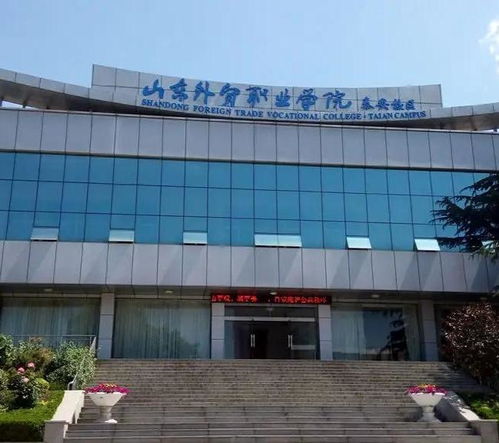 山东外贸职业学院单招（山东外贸职业学校官网）