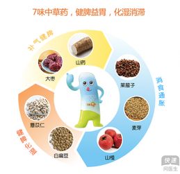补脾健脾第一食物:补脾健脾第一食物是什么?传统智慧与现代营养学的双重推荐