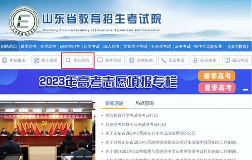 山东省教育考试院(山东省教育考试院电话)