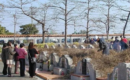 梦见大楼在眼前倒塌是什么意思：梦见大楼在眼前倒塌是什么意思？