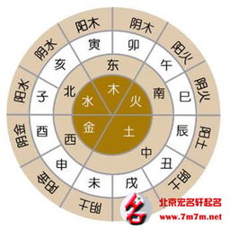 五行查询生辰八字查询免费取名字：精准取名有妙招，免费生辰八字五行查询工具+科学取名指南