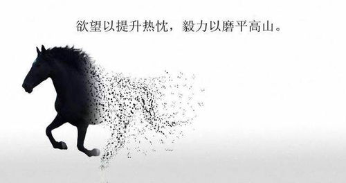 巳时是几点到几点：巳时，清晨活力高效的黄金时段—9:00-11:00养生与效率指南