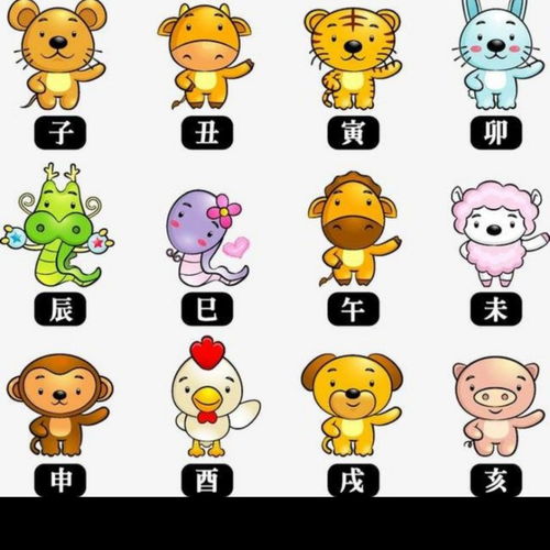 十二生肖大全：十二生肖大全，从起源到文化密码的完整解读