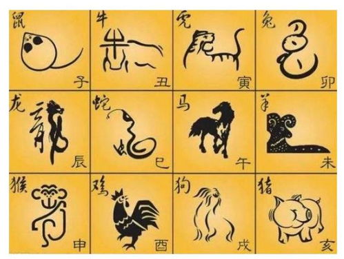 十二生肖大全：十二生肖大全，从起源到文化密码的完整解读