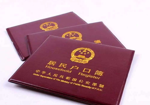 上户口亲子鉴定多少钱一次:上户口亲子鉴定费用全解析,一次搞定!