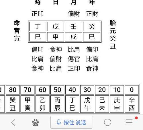 神巴巴四柱八字免费排盘：神巴巴四柱八字免费排盘，精准解析命运轨迹，助你把握人生机遇