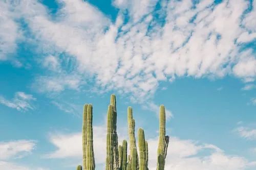 爱司凯:重大信息内部报告制度