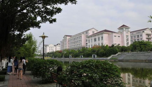 重庆大专学校推荐(重庆大专有哪些好学校推荐)