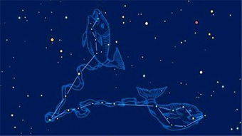 2022年双子座太惨了：2022年双子座血泪史，被水逆暴击、感情事业双崩盘的崩溃边缘