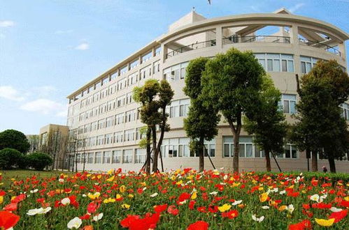 四川大学锦江学院(四川大学锦江学院转公办)