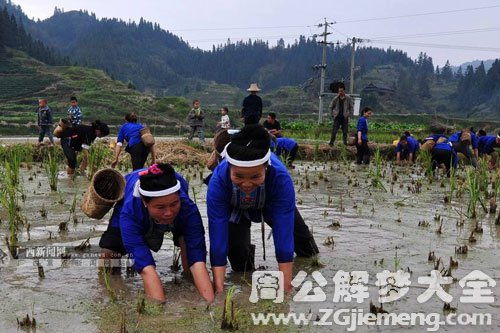 梦见别人抓鱼是什么预兆:梦见别人抓鱼是什么预兆?