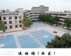 广东十大垃圾大专学校（广东十大垃圾专业）