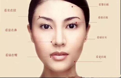 面相全图解析：面相全图解析，从五官到气质的深度解读—传统智慧与现代科学的融合视角