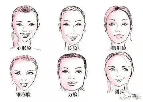 面相全图解析：面相全图解析，从五官到气质的深度解读—传统智慧与现代科学的融合视角