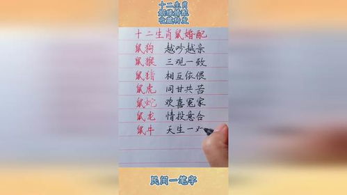 十二生肖属相婚配表2023：2023十二生肖属相婚配指南，相合相冲全解析与理性婚恋建议