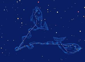 渣男之首是什么星座：渣男之首竟是处女座？星座性格解码情感中的渣与责任