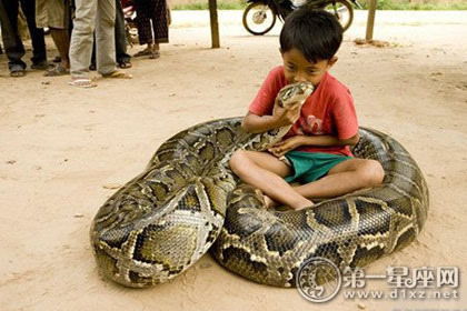 女人梦见自己被蛇追:梦里被蛇追赶,她惊醒后发现…