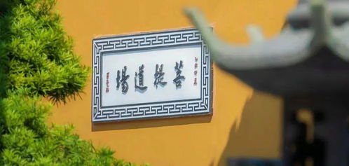 瓷都算命网免费算命：瓷都算命网免费算命，千年窑火映照福运，线上占卜开启人生新篇章