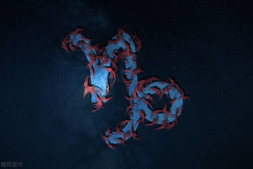 1月19星座是什么星座:1月19日是什么星座?揭秘摩羯座与水瓶座之间的关键转折点